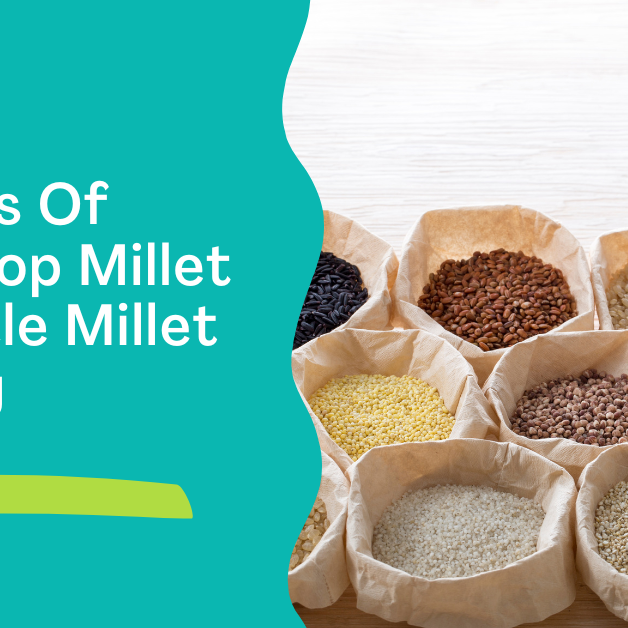 Browntop Millet