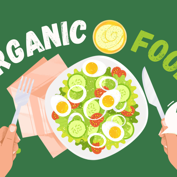 organic & gourmet food