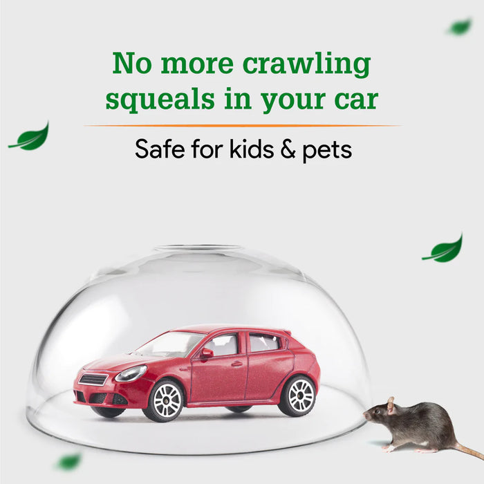 Herbal Strategi Rat Repellent