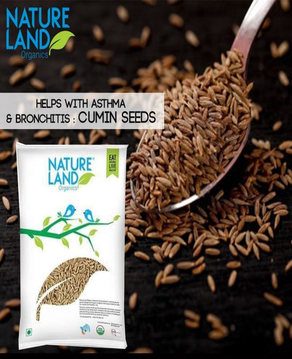 NatureLand Organic Cumin Whole 250g-1