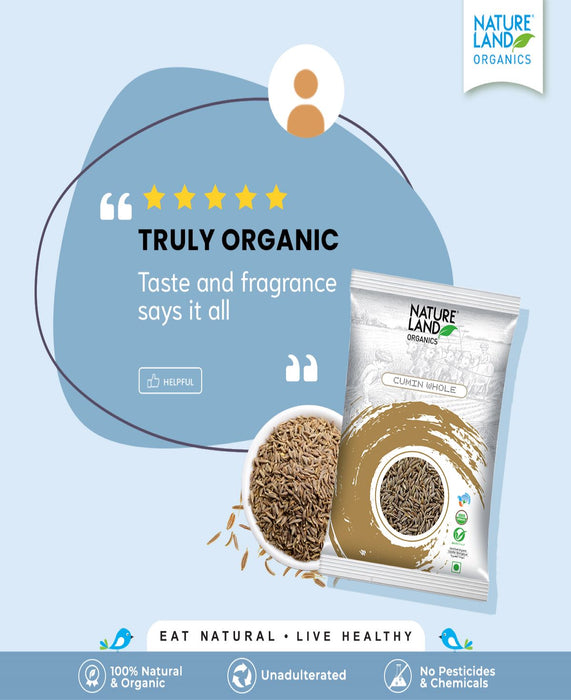NatureLand Organic Cumin Whole 250g-3