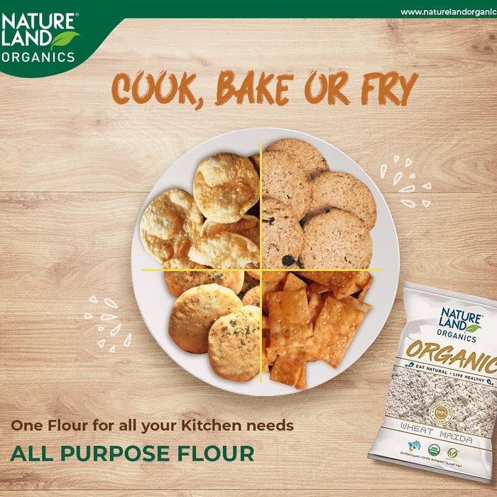 NatureLand Organic Maida 500g-1