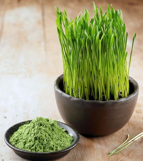 Pragna Wheat Grass Powder 90g-2