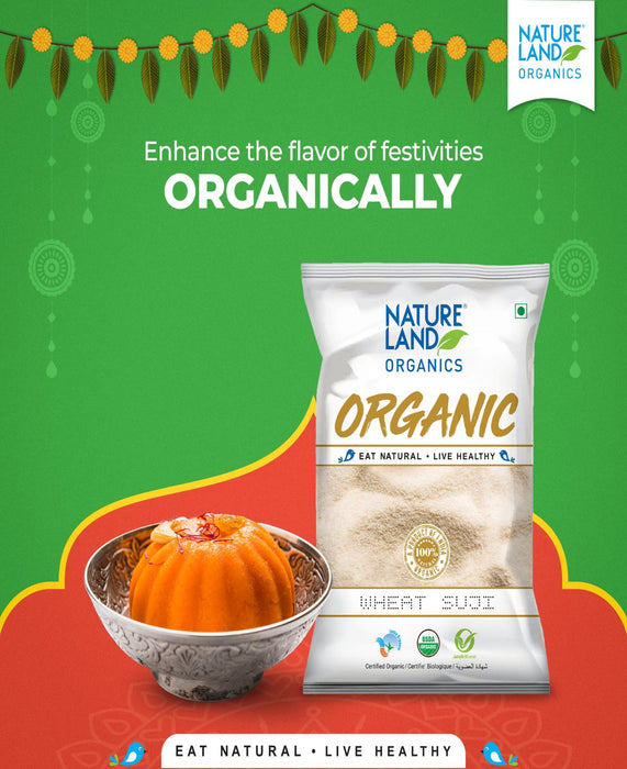 NatureLand Organic Wheat Suji 500g-2