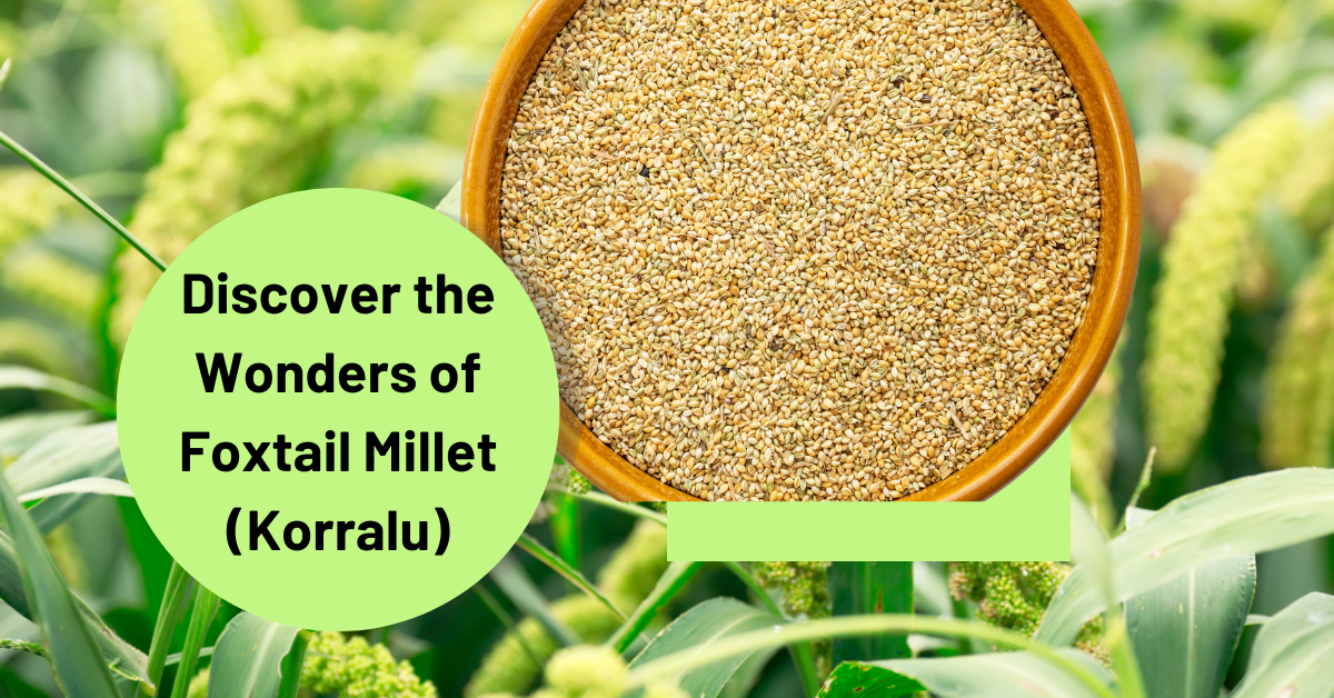 Foxtail Millet 