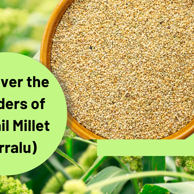 Foxtail Millet 