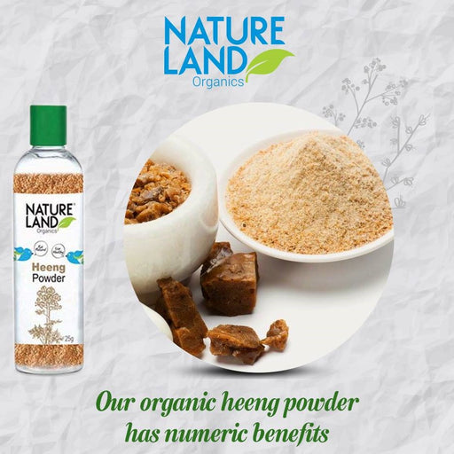 NatureLand Organic Heeng Powder 50g-1