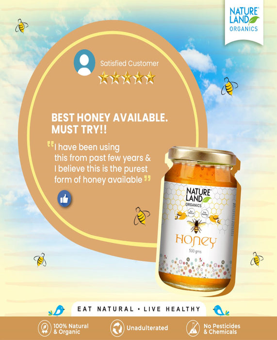NatureLand Organic Honey 500g-2