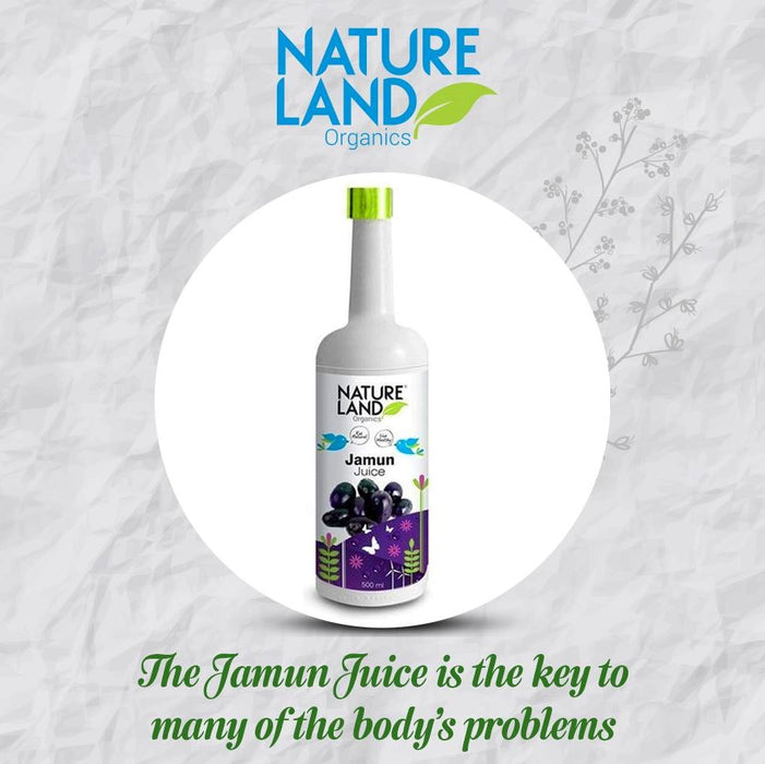 NatureLand Organic Jamun Juice 500ml