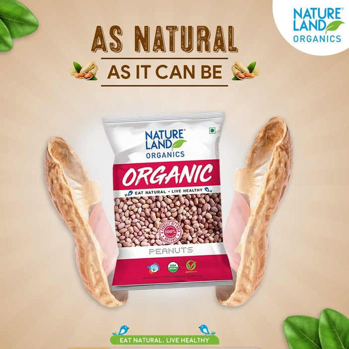 NatureLand Organic Peanuts 500g-1