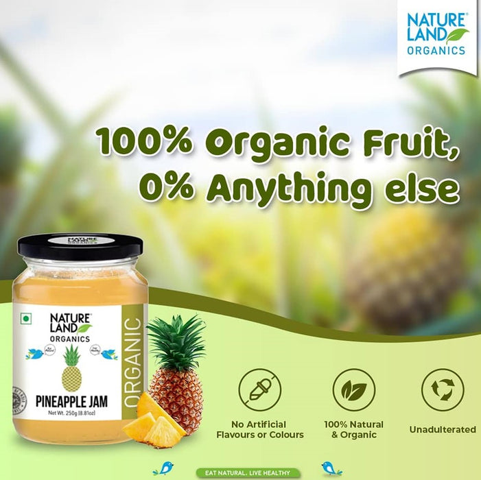 NatureLand Organic Pineapple Jam 250g-1
