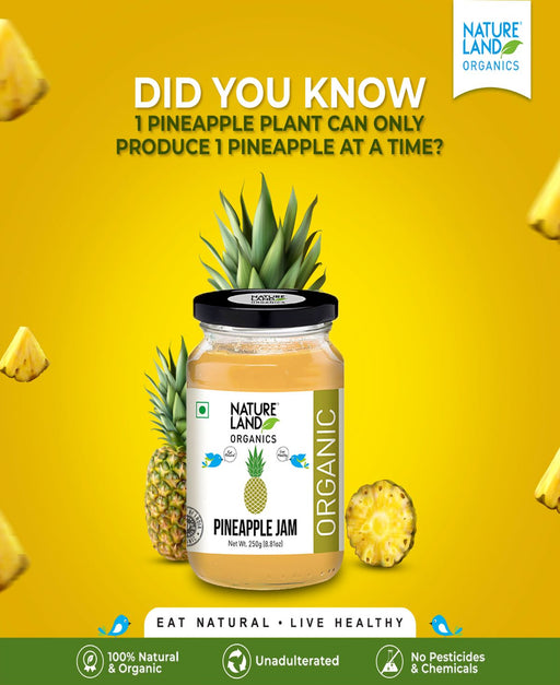 NatureLand Organic Pineapple Jam 250g-2