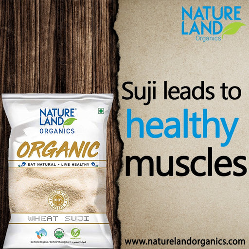 NatureLand Organic Wheat Suji 500g-1
